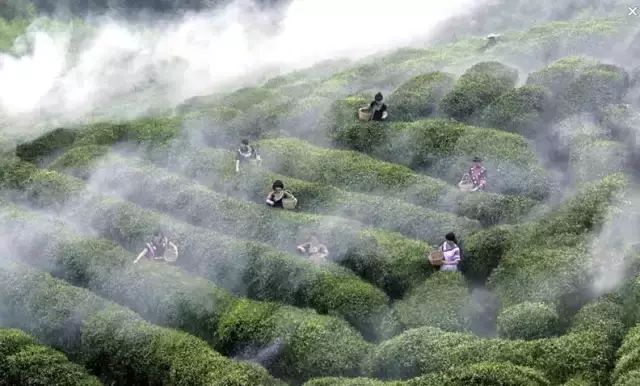 期待|“地球绿宝石·浪漫黔南州”即将亮相北京世园会