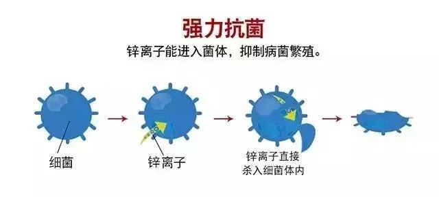 怎样去除女裤内裆异味,内衣裤处瘙痒小妙招