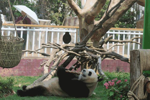 集美最适合去的地方,集美值得去的地方