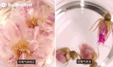 异地恋遇到姐弟恋,怎么维持异地恋和姐弟恋