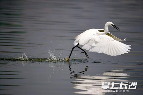 长沙地铁3号线旅游攻略,长沙带小孩旅游3-4天攻略最佳线路