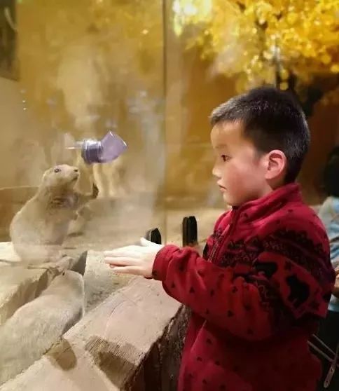 六一儿童节的礼物竟然是作业,六一儿童节练习册礼物