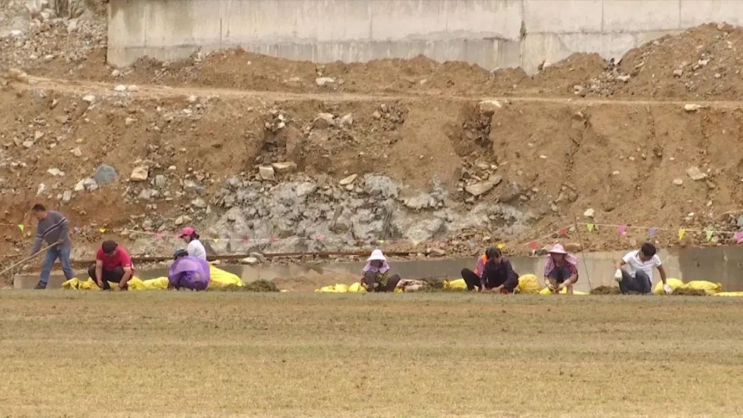 足球公园晋江日程,晋江足球公园免费吗