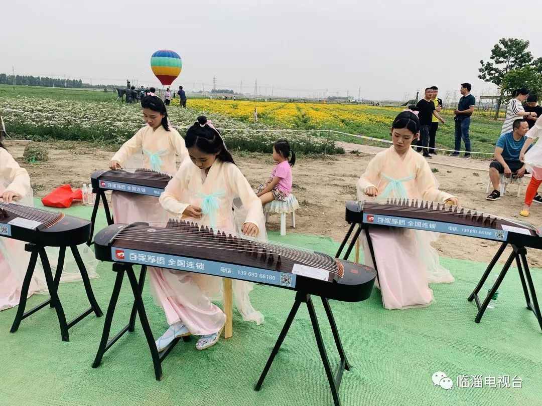 临淄梦幻花海,航拍临淄花海风景