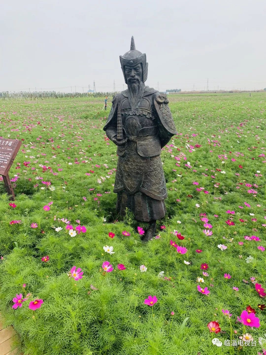 临淄花海公园在哪里,淄博临淄花海攻略