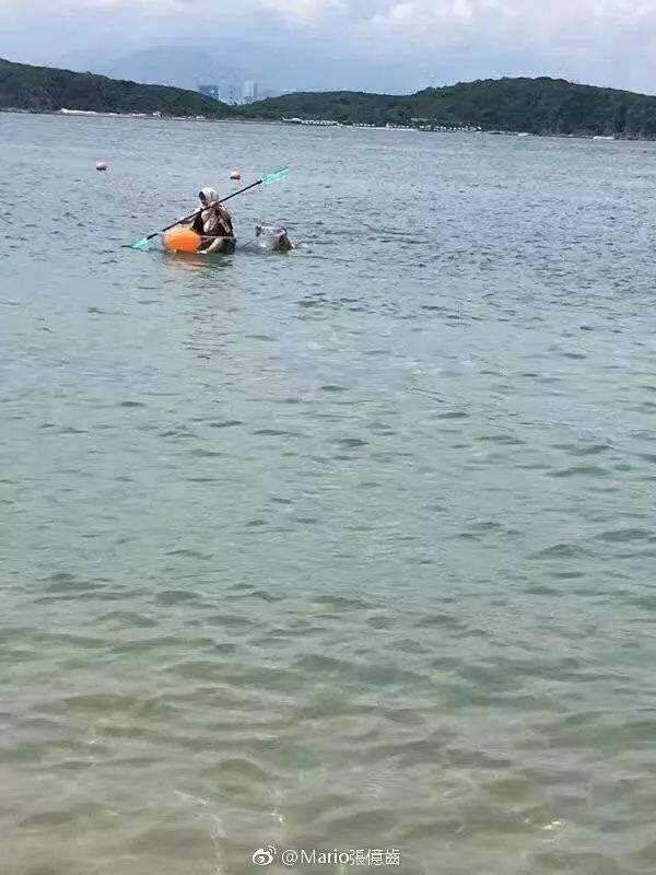 不小心看到父母的对话,发现妈妈和老公聊天记录怎么办