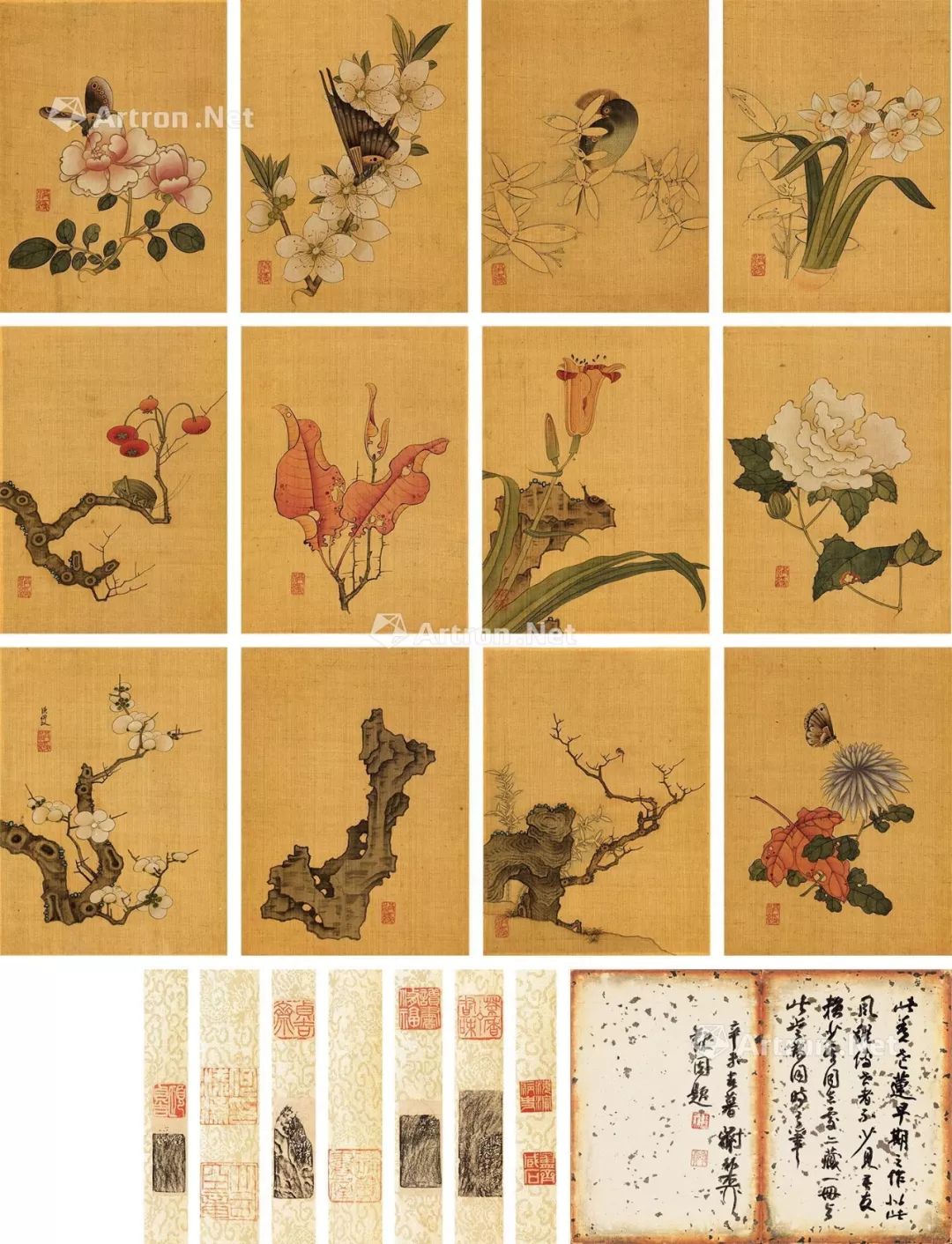 未来之星，缤纷摇曳！帽哥出品