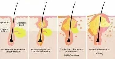 21天测试,21天测评