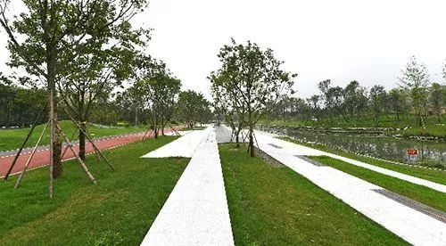 双流红枫海在哪,红枫湖风景区开放时间最新消息