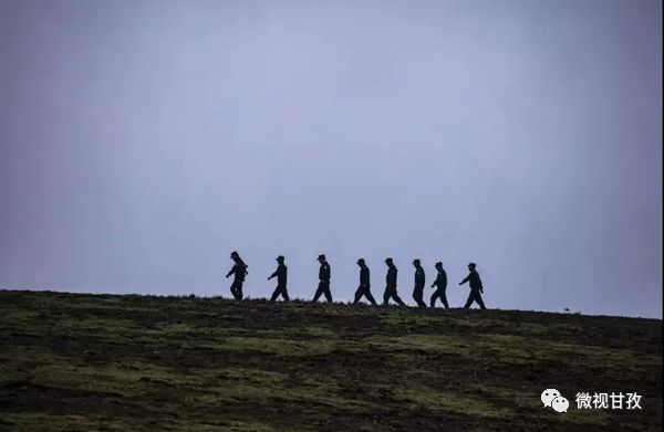 守卫虫草山民警,驻守海拔4800米护航虫草采挖