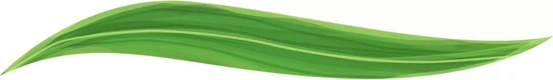 同济医院超强专家团队来襄义诊,义诊活动大咖云集