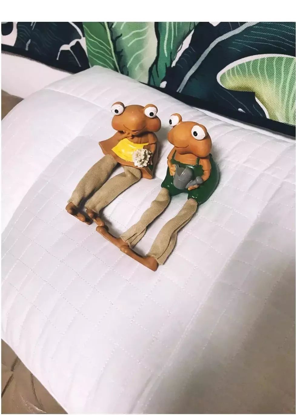 产品测评|关于荞麦枕，用过的人有话说