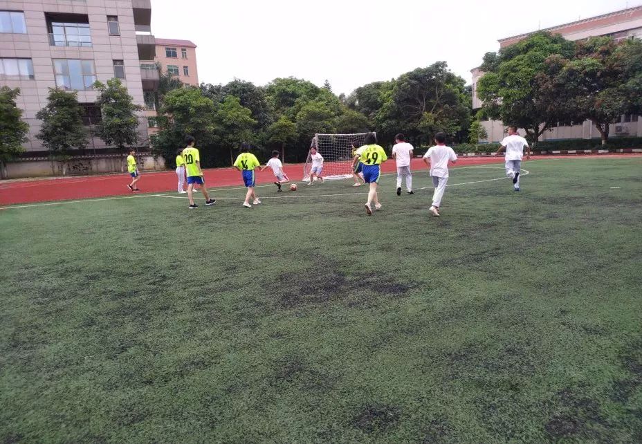 活力足球赛,活力横沥小学生足球比赛