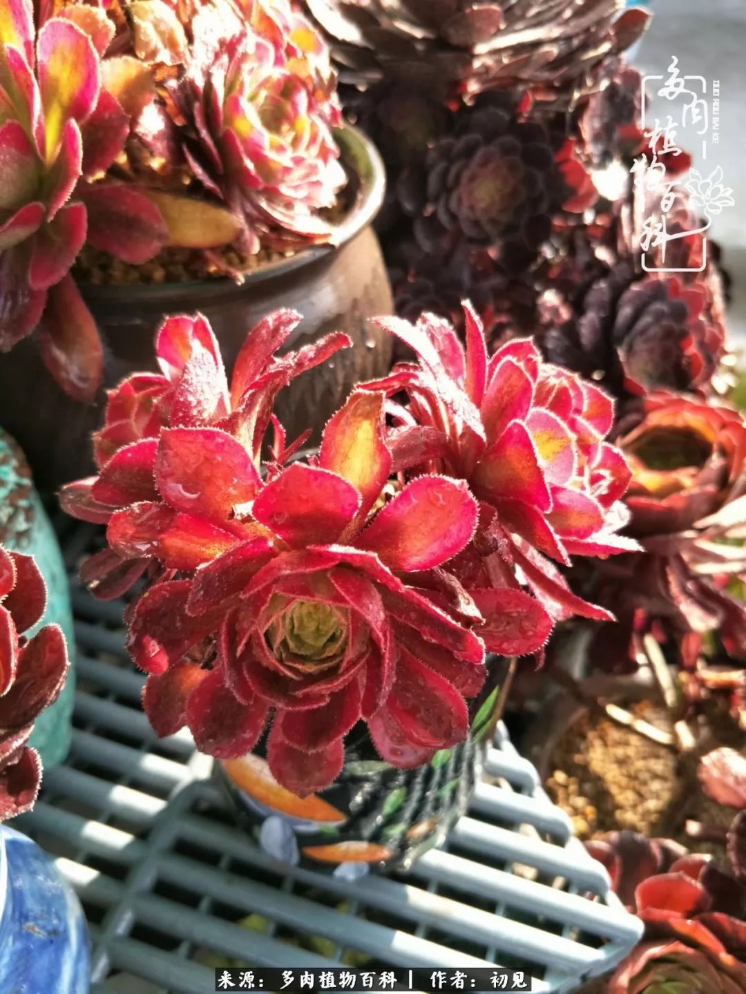 紧张的高三生活也需要适度的放松,紧张焦虑高考