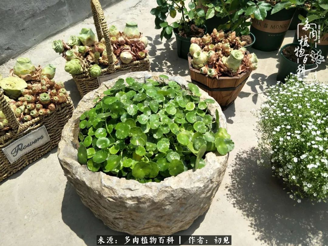 紧张的高三生活也需要适度的放松,紧张焦虑高考