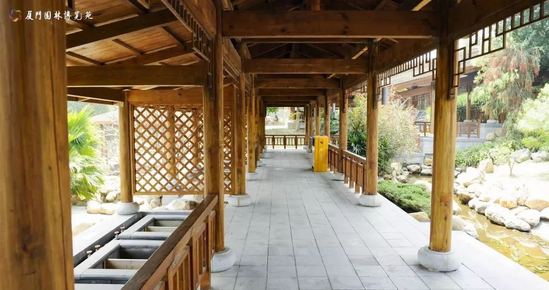 厦门适合带孩子去玩的地方推荐,厦门6月份哪里好玩