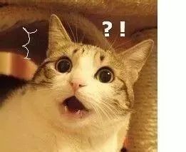 日本网红眼药水见效快背后的真相,眼药水下架是真的吗