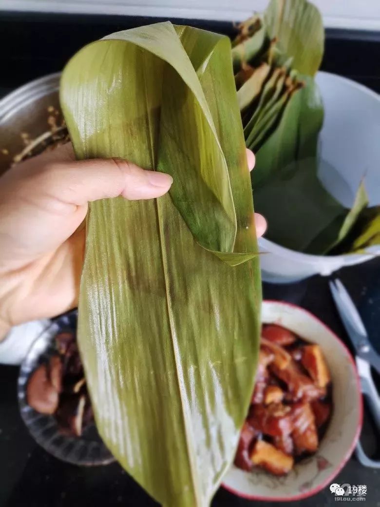 粽子捂脸流泪,鲜肉粽蛋黄粽