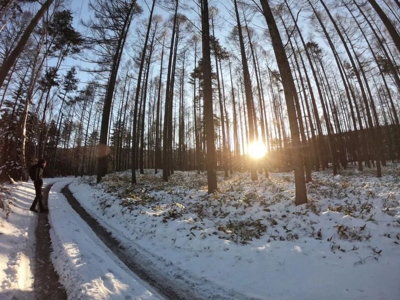 网红绝美拍照地打卡,网红打卡圣地取景图