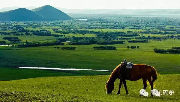 呼伦贝尔大草原旅游景点,呼伦贝尔景点合集