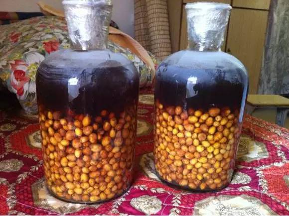 全身是宝的药,全身都是宝的种子