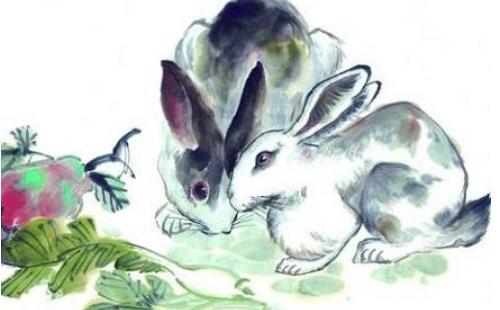 75年出生的女属兔人今年运势,1975年生肖兔女2019年运