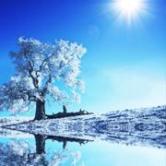 维维股份股吧东方财富网,维维股份股吧怎么样