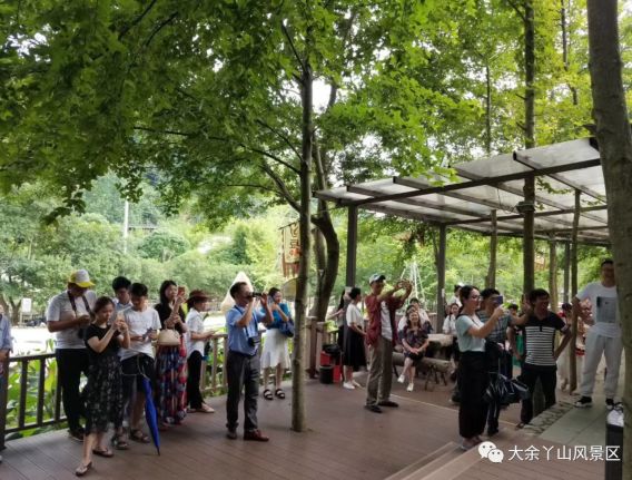 江西丫山景区视频,江西丫山风景区门票