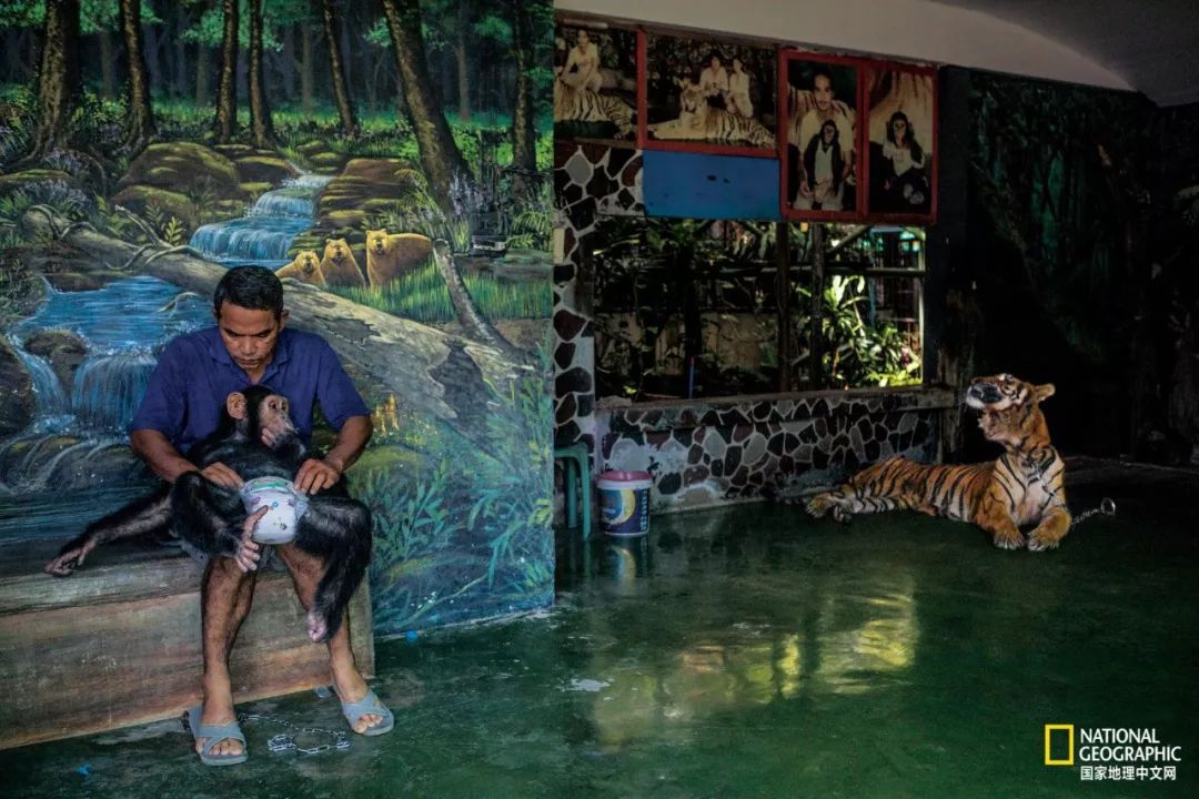 “谢谢你们，我们终于快死光了”