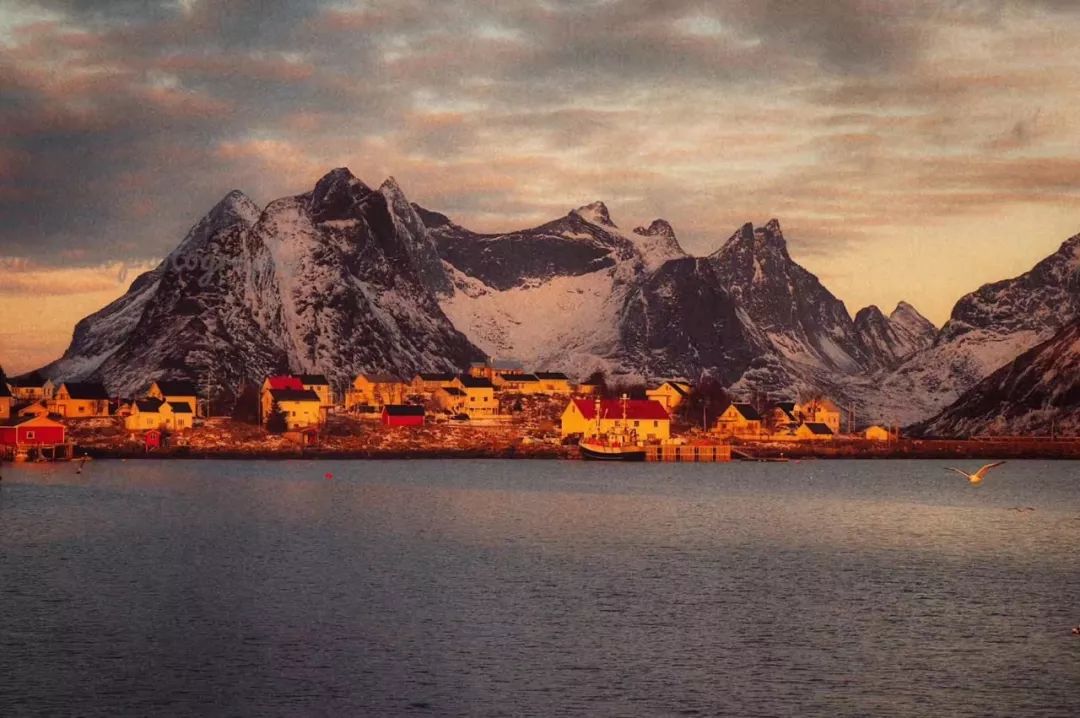 听闻，没有一个钟表能够“活”着走出北欧这座岛