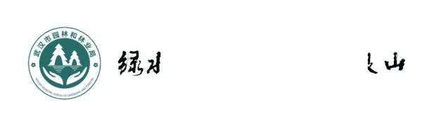 到这十条林荫道上走一走，每条都能邂逅俊男美女