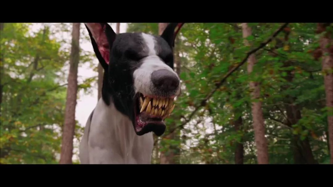 值得刷10次的神剧,推荐一部剧连刷10集