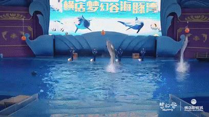 美到窒息的光影秀,美到极致烟花视频