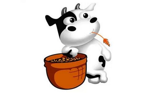 2019年47岁的属牛人整体运势解析