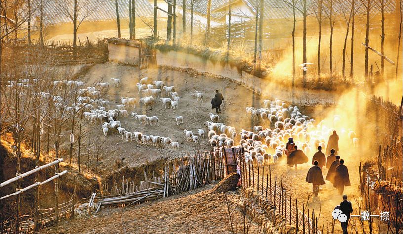 人民日报经典封面照片,人民日报最美照片