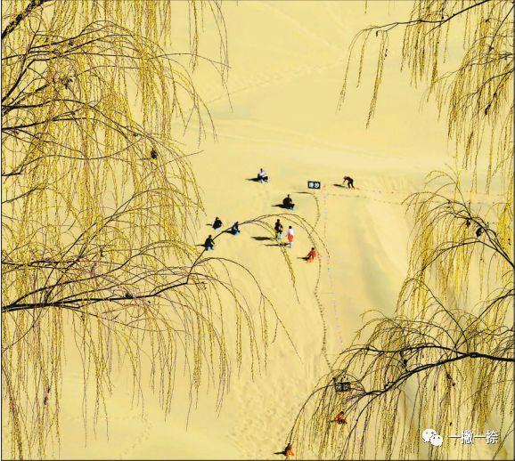 人民日报年度最佳照片,人民日报推荐的好照片