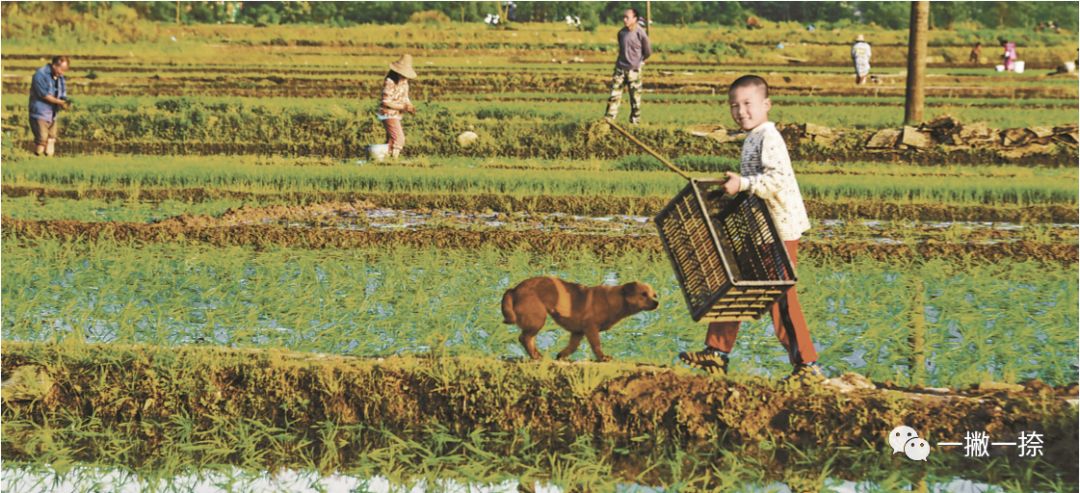 人民日报最经典的照片,人民日报年度好照片