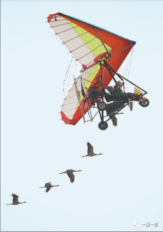 人民日报经典封面照片,人民日报最美照片