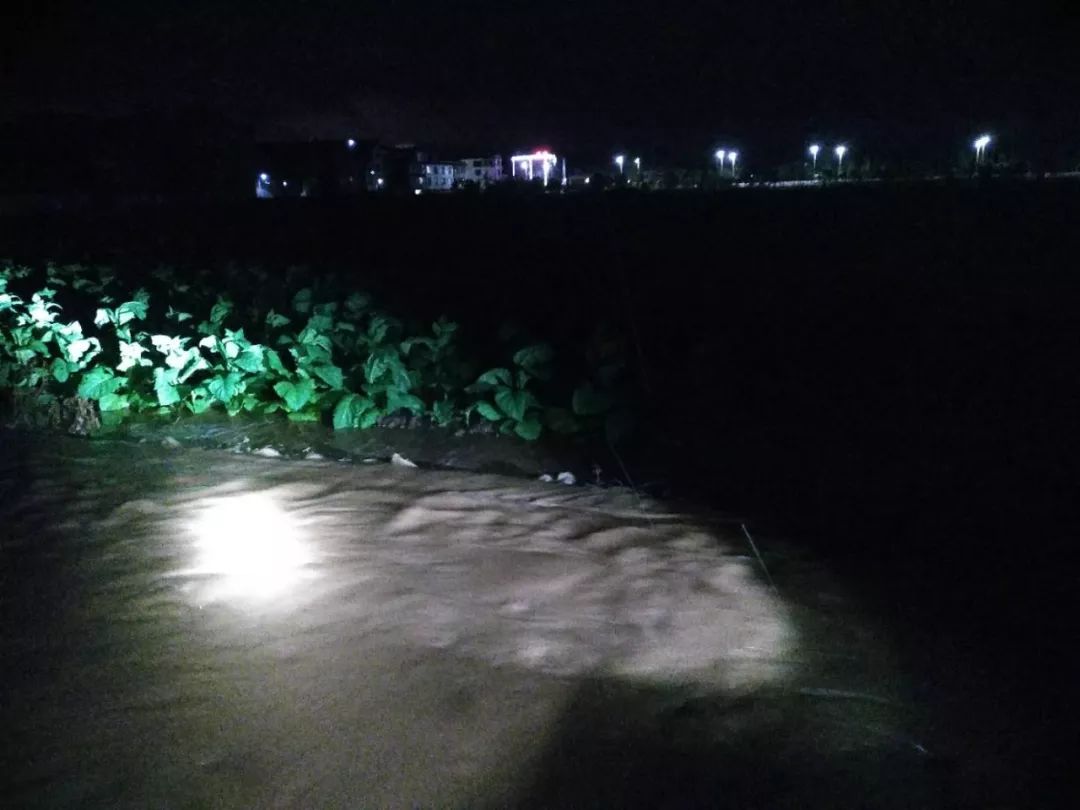 春城会不会有大暴雨,春城大暴雨