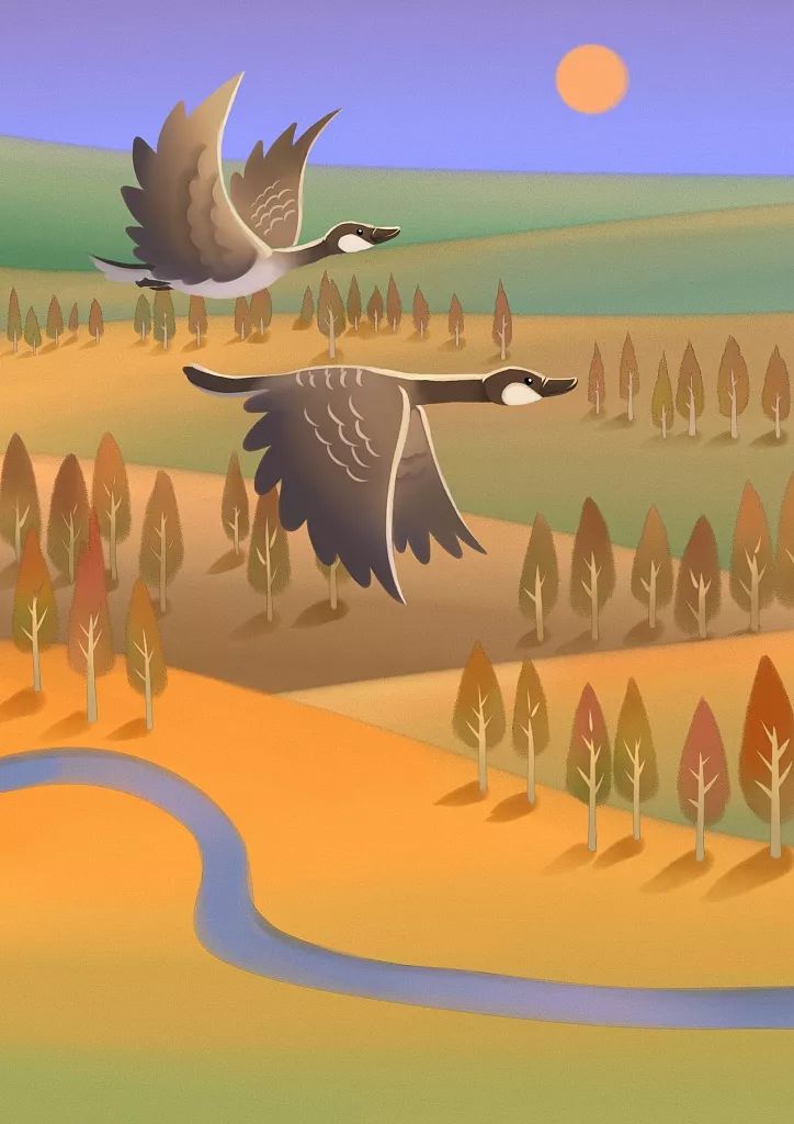 芦雁诗句,芦雁湖