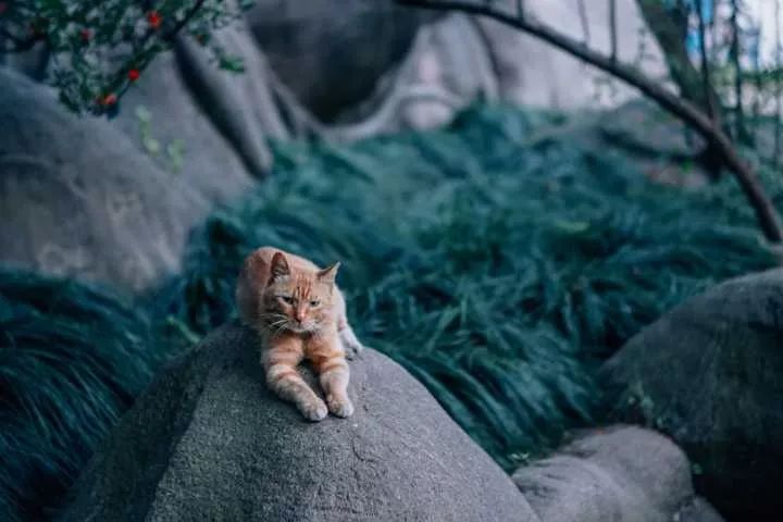 瀹夊笀澶ц瓒呰秺瀹夊ぇ,瀹夊笀澶у畨鍐滃ぇ