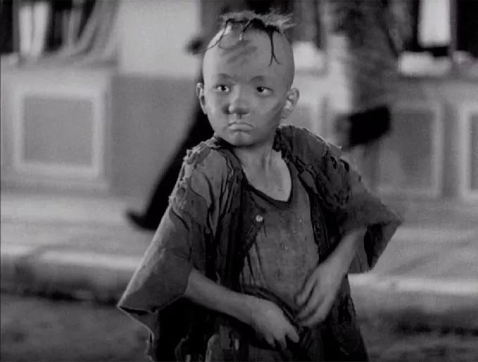 上海国际电影节汇集众多影展精粹,上海国际电影节首次推出露天展映