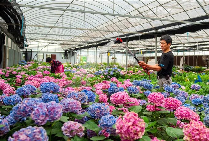 视觉印象张家港,视觉装饰张家港