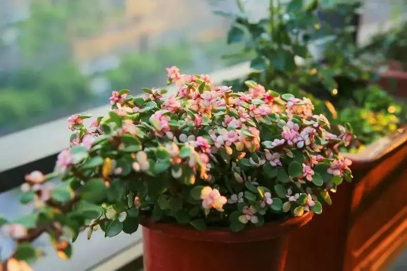 打造美好幸福的家,打造一片天地