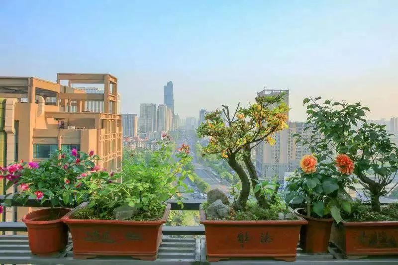 打造美好幸福的家,打造一片天地