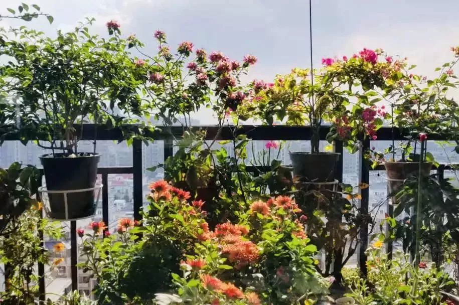 打造美好幸福的家,打造一片天地