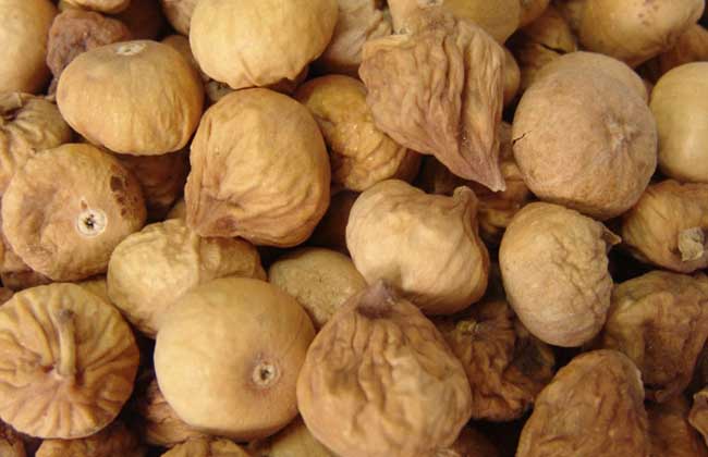 无花果干要怎么保存,无花果枝条冬季保存