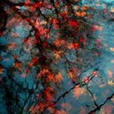 苏州高新集团股吧,苏州高新创投股吧