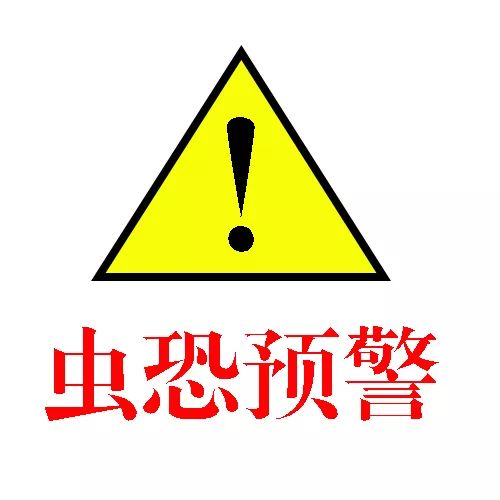 一些吸血的昆虫蜱虫,好多小虫子吸血