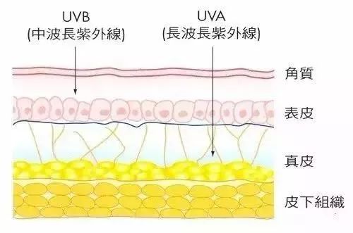 618鎴戠殑蹇呬拱濂界墿,鎴戠殑618蹇呬拱娓呭崟